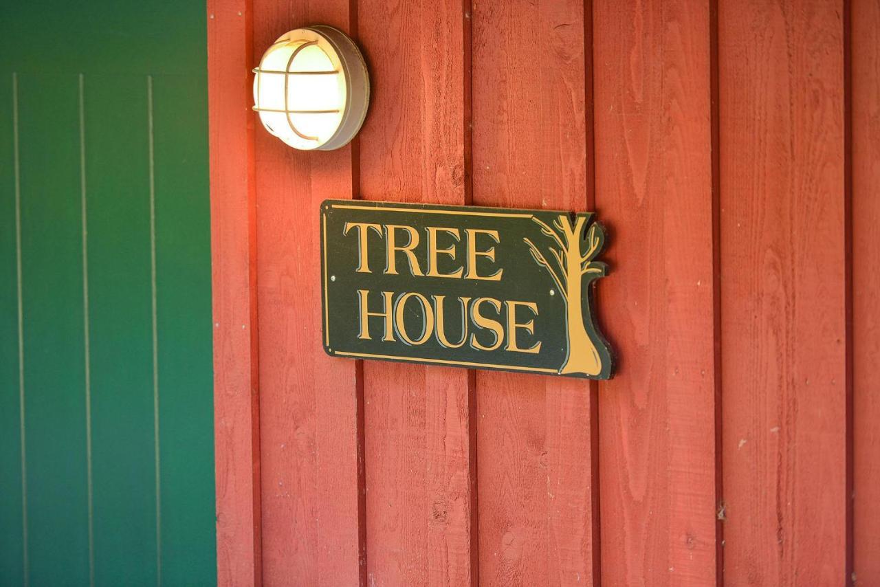 Salishan Tree House Suite คาวิแกนเบย์ ภายนอก รูปภาพ